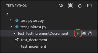 Running tests at specific scopes through Test Explorer