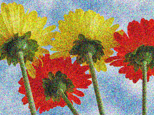 Flowers.png