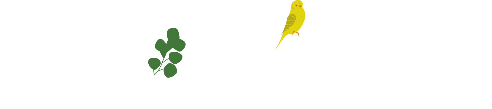 Banner da AxéML-Community