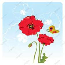 Poppy-Train (1024).jpeg