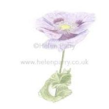 Poppy-Train (129).jpeg