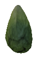 Lettuce.png