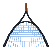 TennisRacket.png