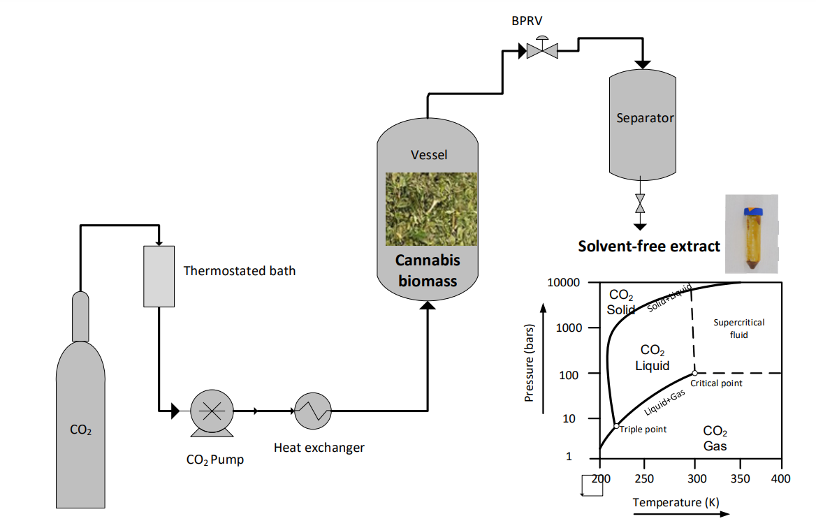 CBD extraction process.png