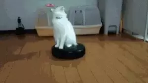 catroomba.webp