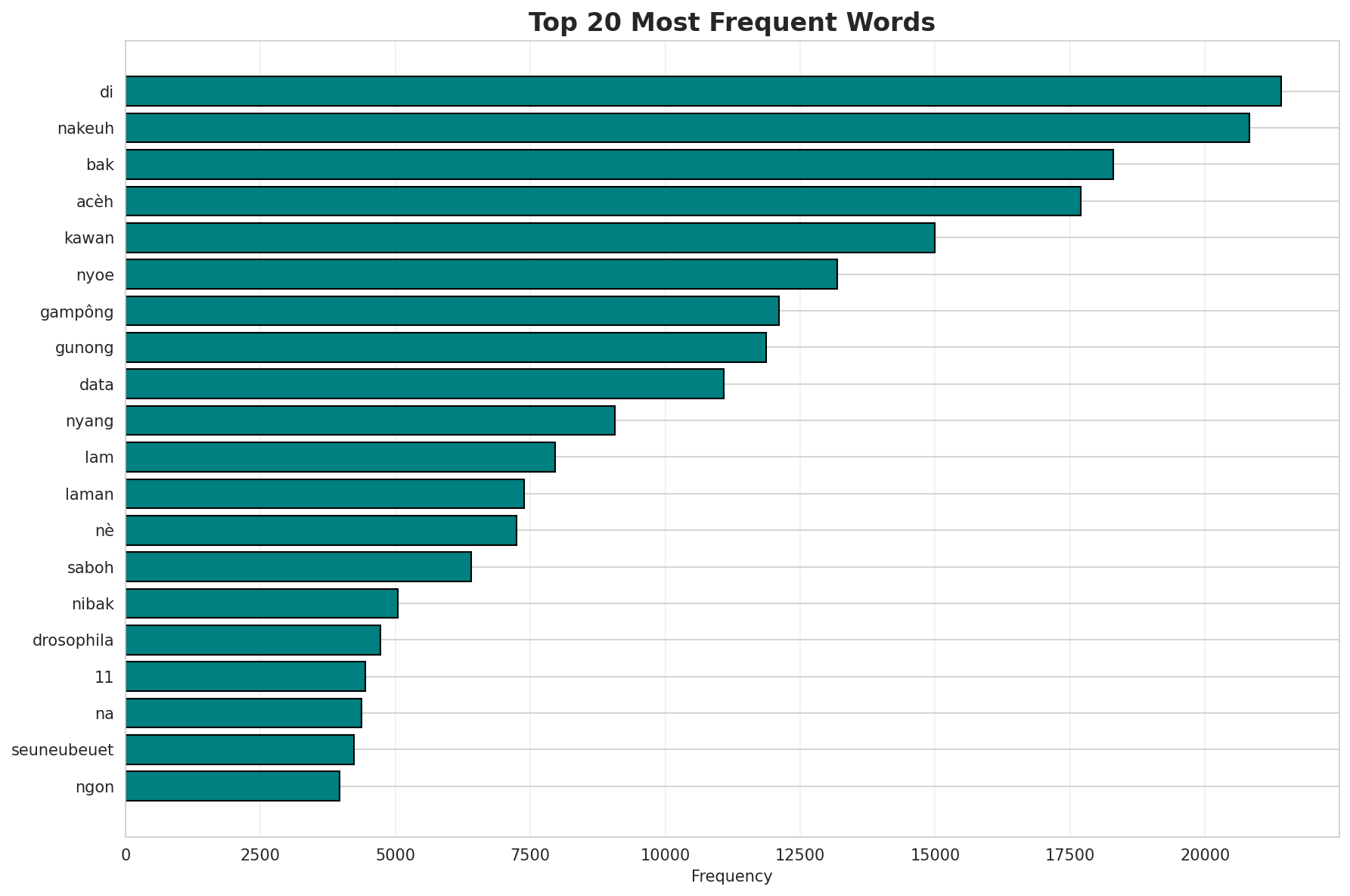 Top Words