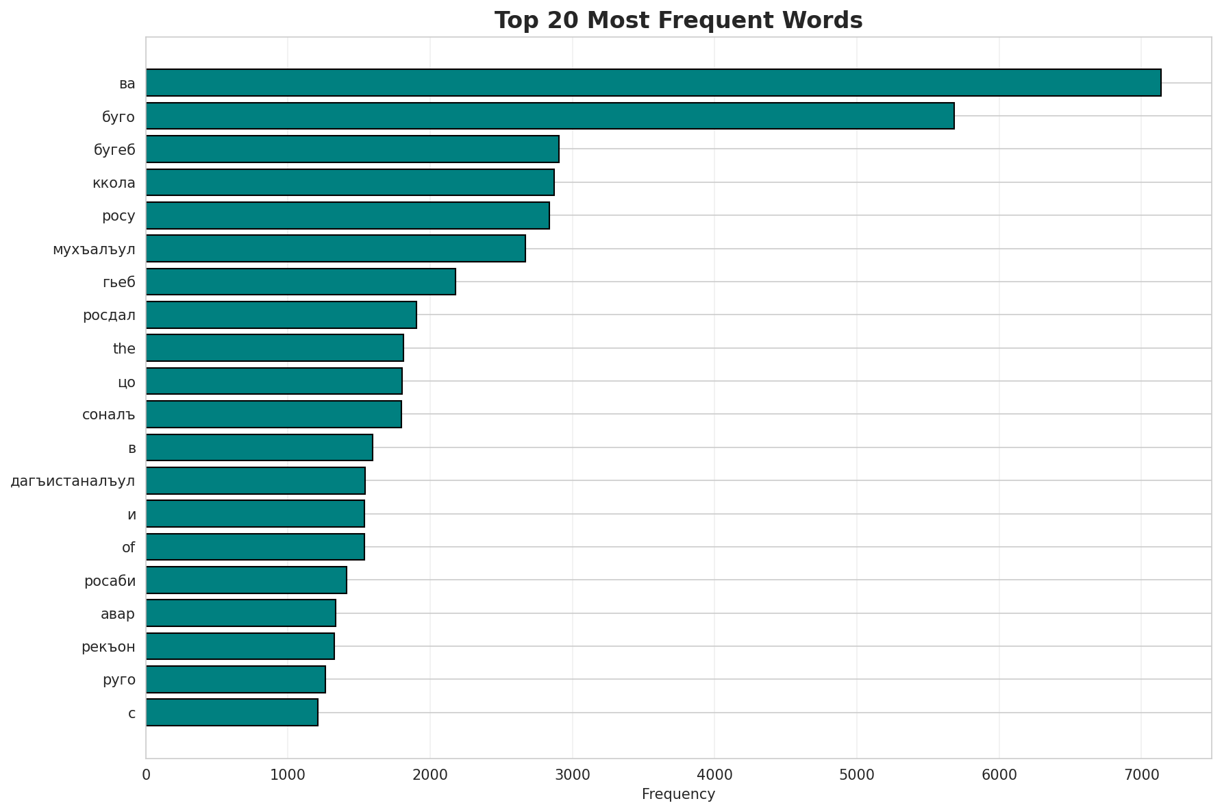 Top Words