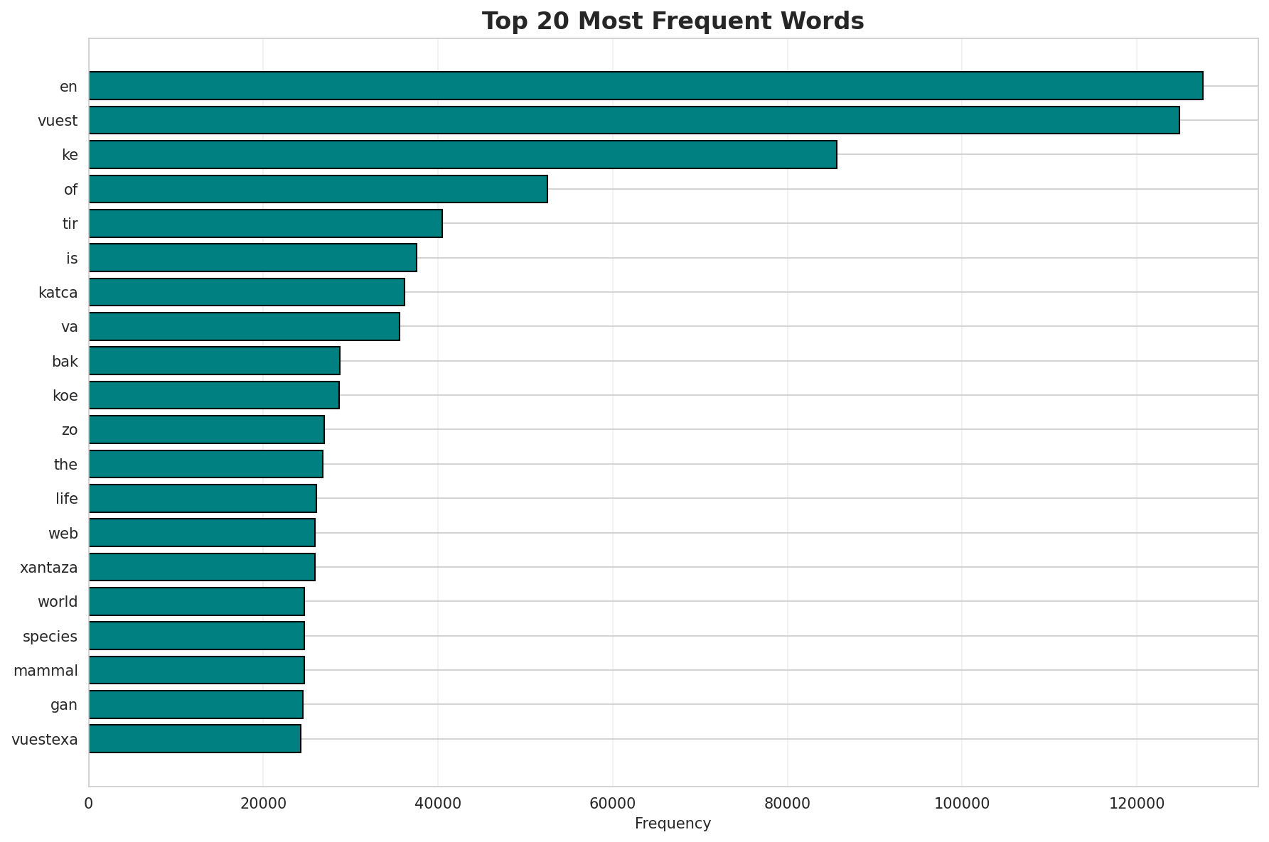 Top Words