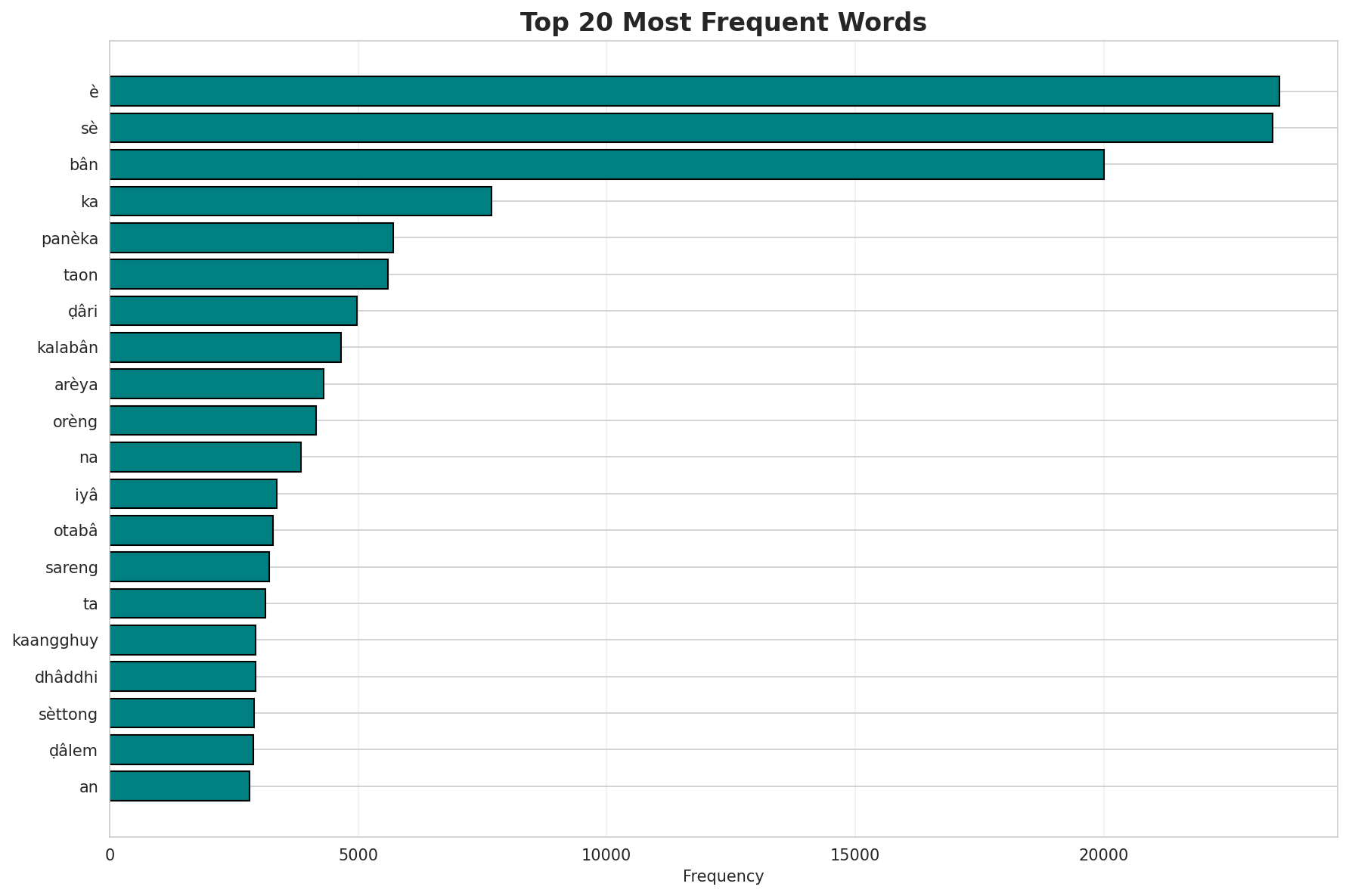 Top Words