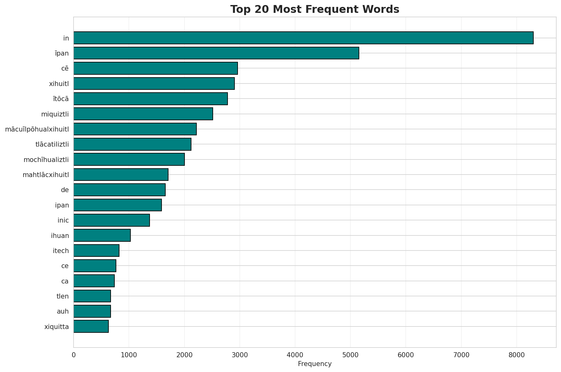 Top Words