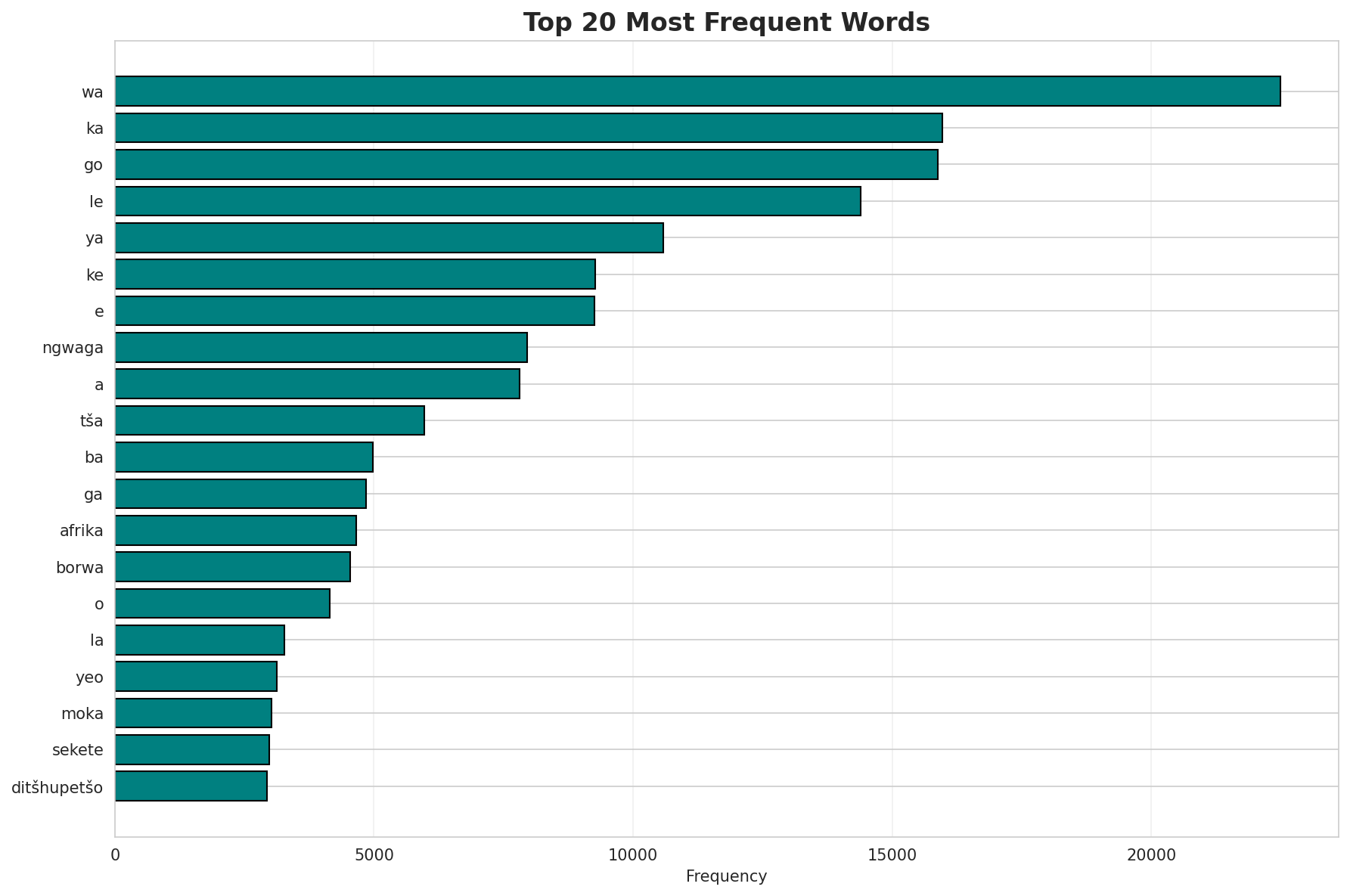 Top Words