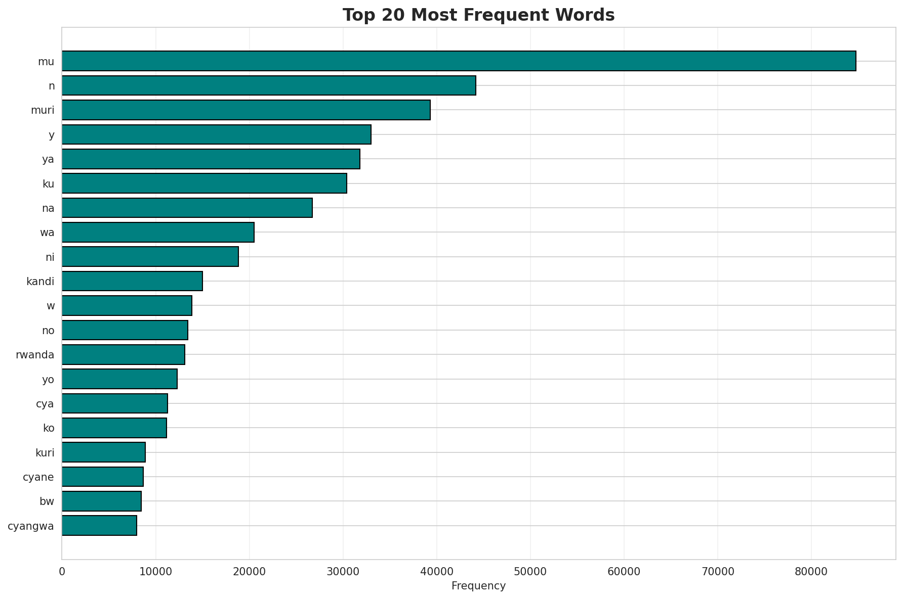 Top Words