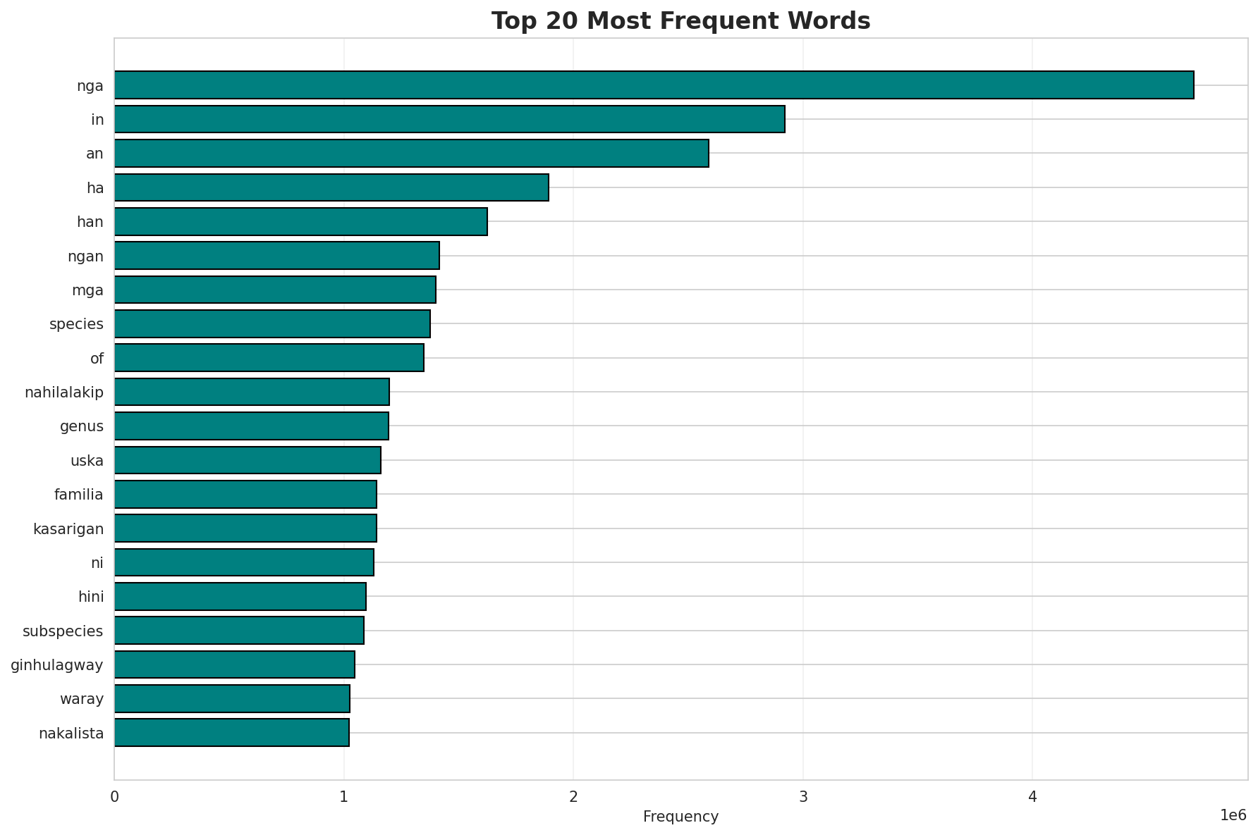 Top Words